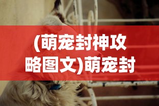 (神武镇魔成就攻略大全最新)神武镇魔成就攻略大全详解及常见问答（FAQ）