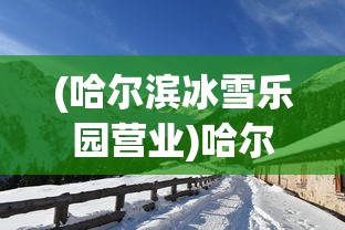 (迷境射击内置GM菜单)迷境射击内置GM菜单，游戏新境界的探索与挑战