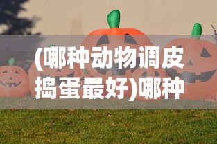(代号胡闹水手攻略)代号胡闹水手iOS游戏全新体验，探索海洋的冒险之旅