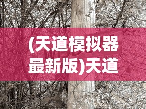 (和平精英免费挂 锁头 透视)和平精英，游戏解析与常见问题解答