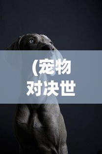 (战棋天下攻略视频)战棋天下攻略大全及常见问答解析