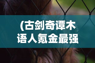 (乾坤天地激活码是多少)乾坤天地激活码，探索、应用与常见问题解答