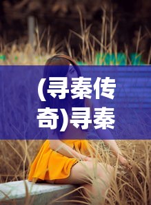 (奶奶食堂故事游戏4汉化版)奶奶食堂故事游戏第四章，深入探索与情感交织