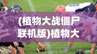 (一刀传世5个角色最佳职业搭配2024)一刀传世，五个角色的最佳职业搭配攻略
