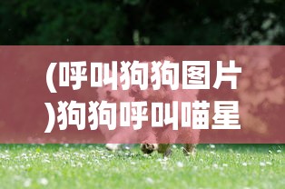 (我真不是仙二代笔趣阁无弹窗)我真不是仙二代，探寻真实与虚幻之间的界限