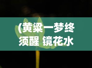 (怒火燎原上衣绝版了吗)关于怒火燎原上衣是否绝版的探讨