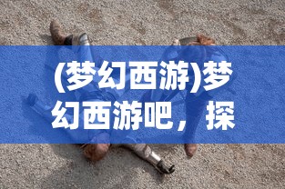 (代号弥弥尔官方下载)代号，弥尔弥尔版号的探索与解析