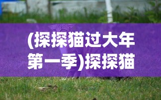 (再见怪兽动画怎么了)再见怪兽为何下架，深度探究其原因