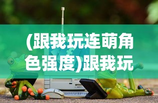 (筮仪详解)筮灵的最后归宿，神秘力量的传承与变迁
