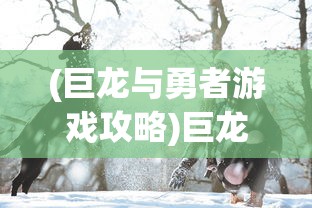 (赛道大师游戏解说大全)赛道大师游戏解说，深度剖析与常见问题解答