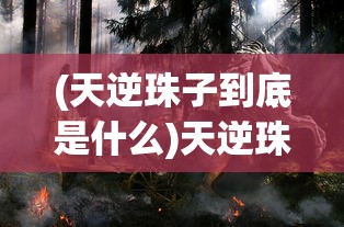 (死气之炎介绍视频)死气之炎的全面介绍