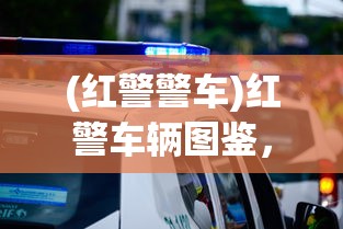 (盛世龙城之热血霸业)盛世龙城之传奇霸业，探寻传奇之路与策略挑战