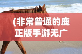 (剑侠世界手游辅助工具)剑侠世界手游辅助工具，游戏优化与攻略利器