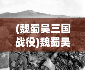 (洪荒文明停服了怎么办)洪荒文明停服，深度分析与展望