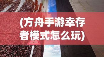 (圣物英雄现在叫什么名字了)圣物英雄的新名字与传奇之旅，探寻英雄的真实身份
