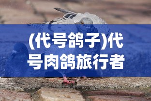 (征程三国攻略大全)征程三国，全面攻略及常见问题解答