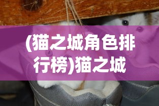 (highfine筑梦工作室)筑梦工作室无限金币免广告，游戏玩家的福音？
