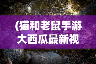 (上古战歌充值折扣平台在哪)上古战歌充值折扣平台深度解析与常见问题解答