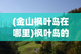 (究极勇者的选择传说第十一关怎么过)究极勇者的选择传说第十一关攻略及解析