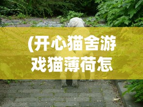 (御龙在天70到90需要几天)御龙在天，70级至90级升级攻略详解及常见问题解答