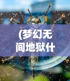 (天中三风麻将下载)天中三风与驻马店麻将，一种地域文化的独特融合