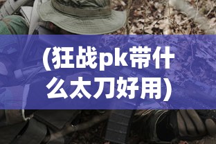 (远征三国 阵容搭配)远征三国，最佳阵容搭配策略解析