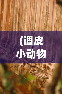 (大话西游手游网易版本客户端2024版本)大话西游手游网易版本客户端，深度解析与常见问题解答