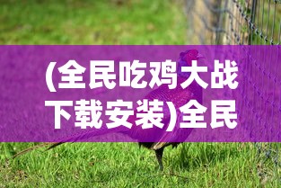 (决战轩辕狂贼任务流程表最新)决战轩辕狂贼任务攻略流程表及详解