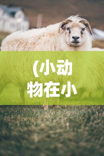 (西游除妖最强阵容排名)西游除妖最强阵容，探寻最完美的西游战斗组合