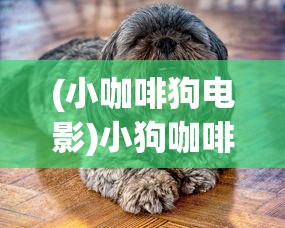(三国阿斗)三国啊三国攻略大全图解，深度解析三国策略与战术