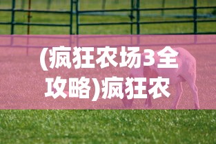 (求不得爱别离怨憎会什么意思)怨憎会的意思及其深层内涵