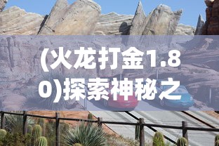 (魔导士nx说明书)魔导士NX，深度解析与常见问题解答