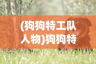 (怨偶歌词张学友)怨偶歌词深度解读与赏析，情感与命运的交织旋律
