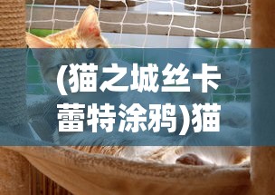 (萌宠竞技场内置功能菜单下载)萌宠竞技场内置功能菜单详解与常见问答解析