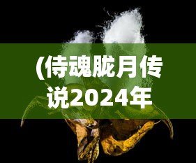 (骑士联萌破解版)骑士联萌免费内购，游戏新纪元中的独特体验