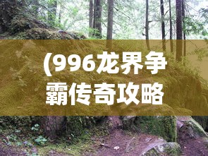 (伊苏起源图文攻略)伊苏起源攻略文库，探索未知世界的指南