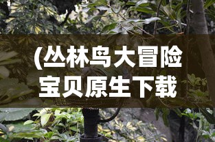 (蛇年热血江湖手游变态升级版)热血江湖手游变态升级版，全新体验与挑战