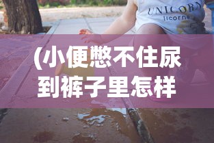(重装战姬图鉴大全)重装战姬图鉴，深入解析与策略指南