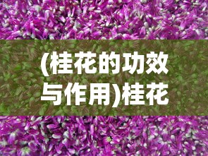 (骑士与魔杖TXT电子书下载)骑士与魔杖，古老传说与现代演绎