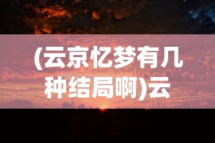 刺刺救援队的拆解与重构，探索高效救援体系的内核
