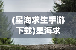 (奇迹之剑v15无限钻石坐骑版)奇迹之剑v12，无限钻石的魅力与挑战