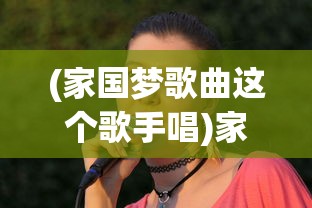 (逆转裁判2汉化版gba下载)逆转裁判2汉化版GBA，经典游戏的重生与探索