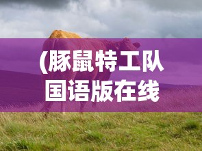 (太公传承封神折相思版)太公传承封神折相思，古老传统的沉思与现代回响