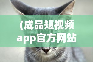 (忍者阵容怎么玩)侍忍者最佳阵容探讨
