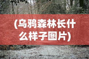 (亮剑演员表名单全部)亮剑演员表及角色深度解析