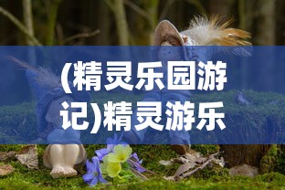 (精灵乐园游记)精灵游乐园，孙乾程的奇幻之旅