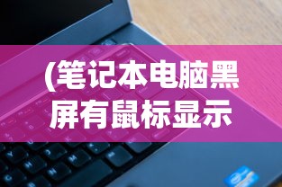 (三国群英风云录 小说)群英风华录，多维度视角下的深度评价