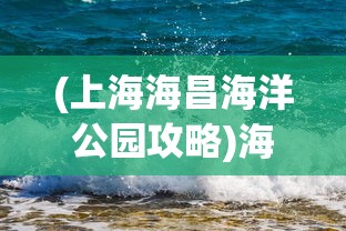 (上海海昌海洋公园攻略)海昌海洋公园游玩全攻略，乐趣无穷的海洋探险之旅