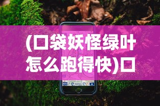(口袋妖怪绿叶怎么跑得快)口袋妖怪绿叶版飞行技能全面攻略大全