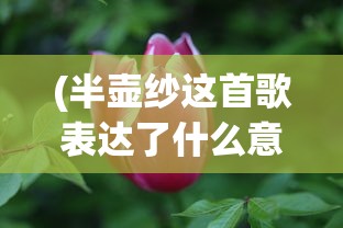 (半壶纱这首歌表达了什么意思)十里桃花待嫁的年华，一首歌曲的情感与故事
